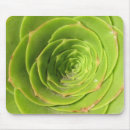 Suche nach kaktus blume mousepads Mit blumen