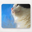 Suche nach fenster mousepads Kitty