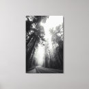 Suche nach wälder leinwandbilder Grove