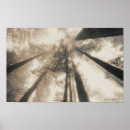 Suche nach rotholz poster Vintag