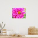 Suche nach rosa dahlien poster Botanisch