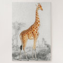 Suche nach giraffen puzzle Natur