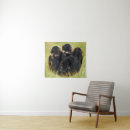 Suche nach drei affen poster Tierwelt
