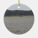 Suche nach wild ornamente Strand