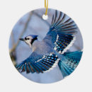 Suche nach weihnachtsverzierung ornamente Baum