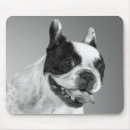Suche nach französischer bulldog mousepads Welpen