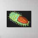 Suche nach virus leinwandbilder Biochemie