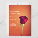 Suche nach romantische rote rose einladungen Rosen