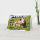 Suche nach glückliche scheidung karten Werbeaktion