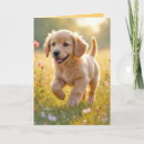 Suche nach golden retriever karten Freundin