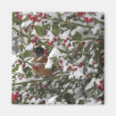 Suche nach rotkehlchen magnete Winter
