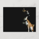 Suche nach shiba inu welpe poster Lustig