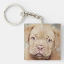 Suche nach reinrassiger hund schlüsselanhänger Tier