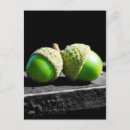 Suche nach begleiter postkarten Grün