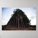 Suche nach plantage poster Baum