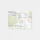 Suche nach leute post it Babytiere