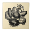 Suche nach obst gemüse fliesen Vintag