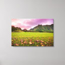 Suche nach oahu leinwandbilder Fotografie