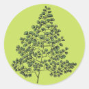 Suche nach farn aufkleber Vegetation