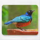 Suche nach parker mousepads Vogel