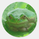 Suche nach grüner frosch aufkleber Frösche