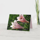 Suche nach trumpet karten Glücklich