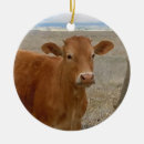 Suche nach western ornamente Cowgirl