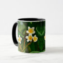 Suche nach frangipani tassen Plumeria