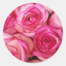 Suche nach feuer aufkleber Eis