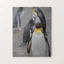 Suche nach penguin puzzle Tiere