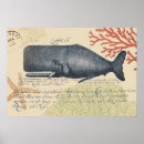 Suche nach blauwal poster Nautisch