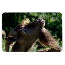 Suche nach lustige ziegen magnete Modern