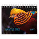 Suche nach birds kalender Vogelkalender