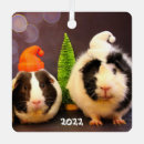 Suche nach niedliches schwein ornamente Tier
