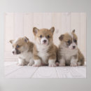 Suche nach waliser poster Natur