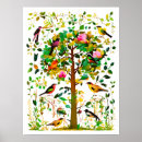 Suche nach bunte vögel poster Singvögel