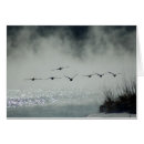 Suche nach kanadische gänse postkarten Wild lebende tiere