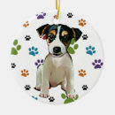 Suche nach jack russell ornamente Haustiere