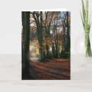 Suche nach tiefe karten Wald