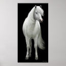 Suche nach wilde pony poster Senf