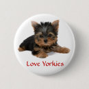 Suche nach welpe buttons Yorkie