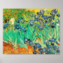 Suche nach iris blume poster Irises