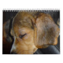 Suche nach calander kalender Hunde