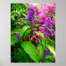 Suche nach bouganvilla poster Tropisch