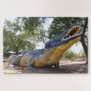 Suche nach krokodil puzzle Croc