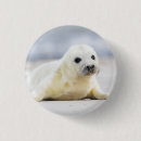 Suche nach flaumig buttons Tiere