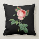 Suche nach schöne rote rose kissen Rosen