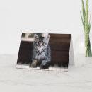 Suche nach piano keys karten Katze