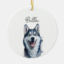 Suche nach sibirischer husky ornamente Dogs