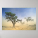 Suche nach kalahari poster Africa
